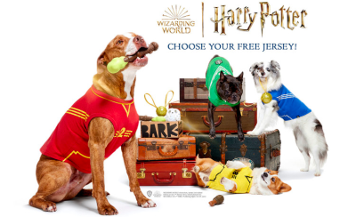 BarkBox and Super Chewer Coupon: FREE Quidditch™ Dog Jersey + Limited Edition Harry Potter Box!