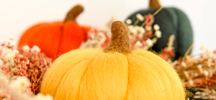 The Crafter’s Box September 2022 Spoilers: Wool Felted Pumpkins!
