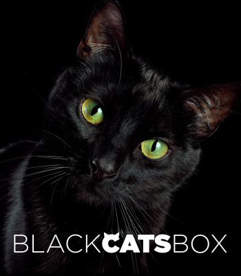 Cat Lady Box October 2022 Spoilers!