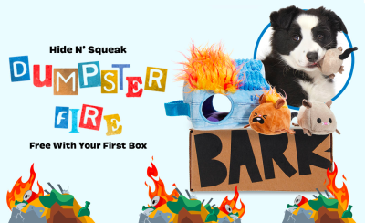 BarkBox Coupon: FREE Dumpster Fire Toy With First Box of Toys and Treats for Dogs!