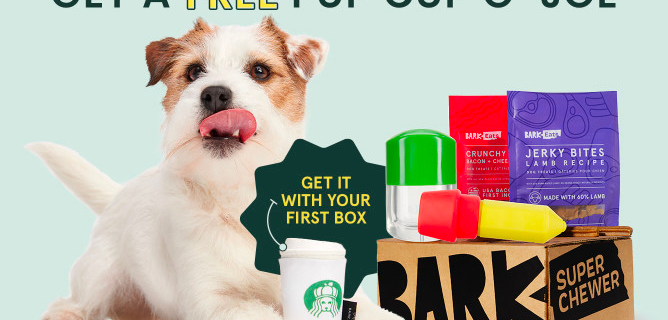 Super Chewer Coupon: FREE Pupkin Spice Yappucino Toy With First Box of Tough Toys and Treats for Dogs!