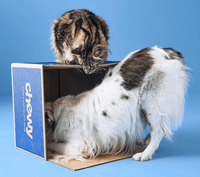 10 Best Chewy Blue Box Event Pet Deals (2022): Cat and Dog