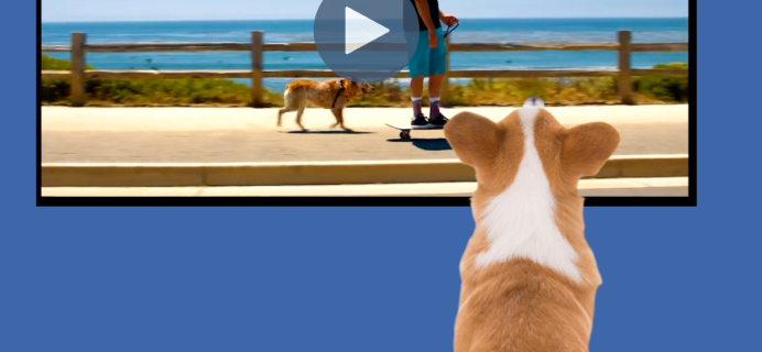 DOGTV Coupon: 3 Days FREE Trial Pup Enrichment Programming!