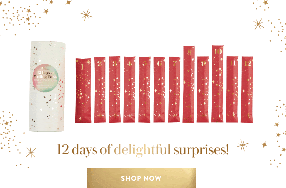 2022 Erin Condren Advent Calendar: 12 Days of Writing Tools Hello 2022 Erin Condren Advent Calendar: 12 Days of Writing Tools Hello