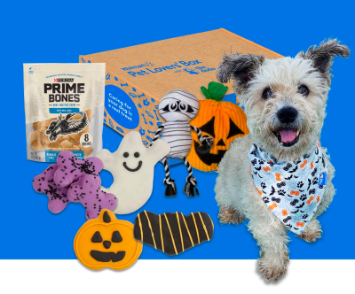 Hello Pupscription: Walmart Pet Lovers’ Box – A Surprise Box For Pooches!