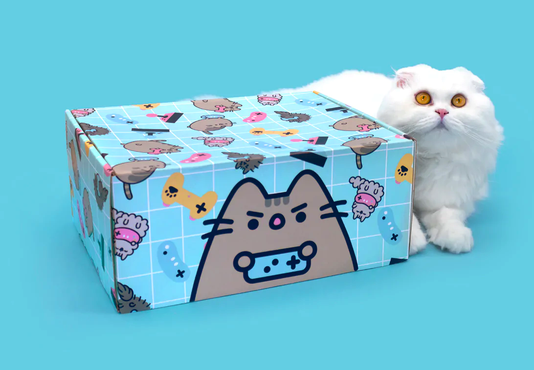Cat Kit by Pusheen Box Winter 2022 Spoilers: Gaming! - Hello Subscription