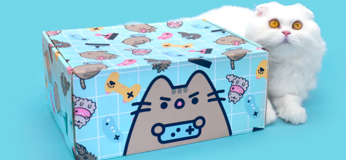 Cat Kit by Pusheen Box Winter 2022 Spoilers: Gaming!