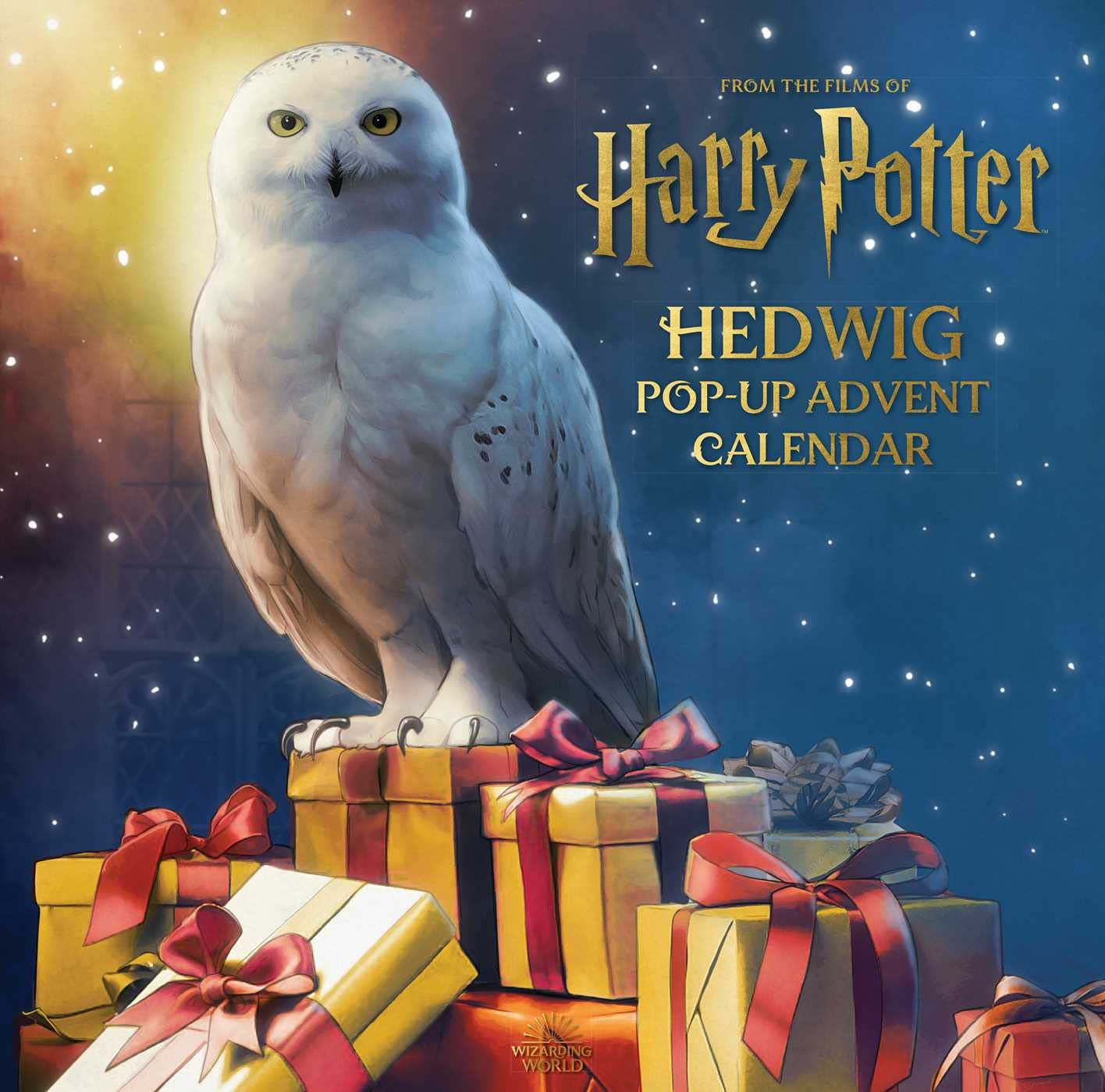 Harry Potter Pop Up Advent Calendar: Christmas Countdown With