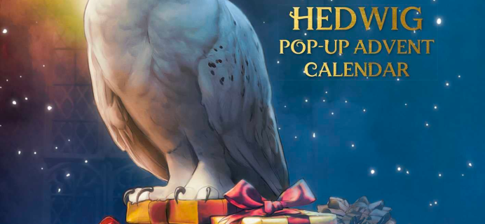 Harry Potter Pop Up Advent Calendar: Christmas Countdown With Hedwig!