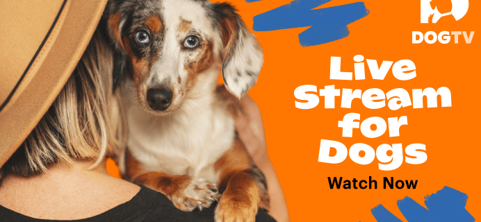 DOGTV Black Friday Coupon: Two Months FREE Trial of Science Led TV For Dogs!
