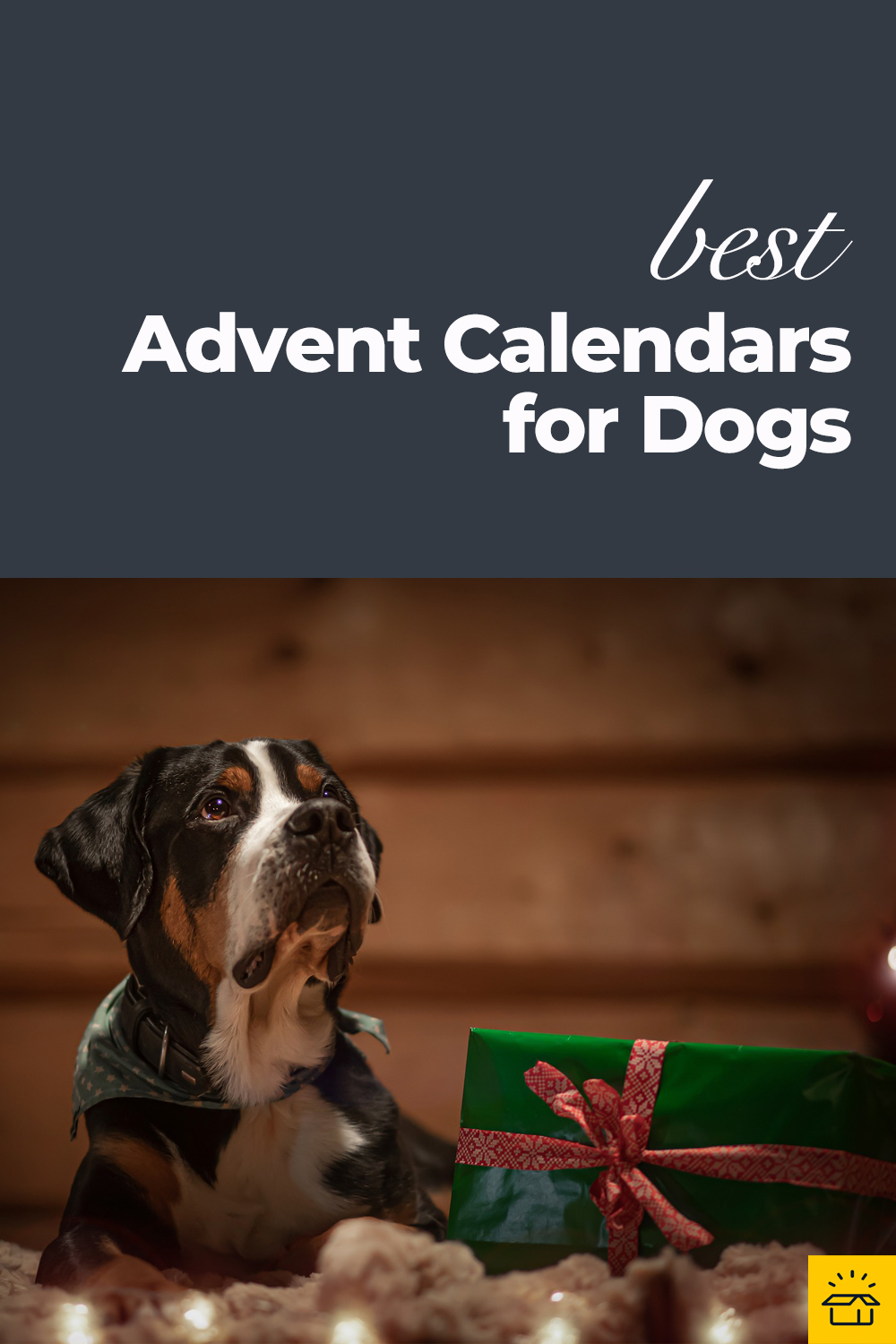 The Best Advent Calendars For Dogs For 2024 Hello Subscription   Best AC For Dogs 