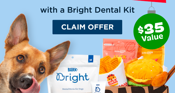 Bark Bright Cyber Monday Coupon: FREE BarkBox with Bright Dental Kit Subscription!