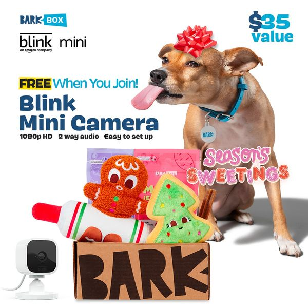 free toy barkbox