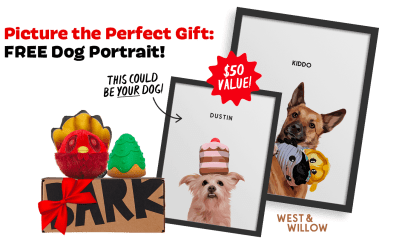 Super Chewer Deal: FREE Dog Portrait With First Box of Tough Toys for Dogs!