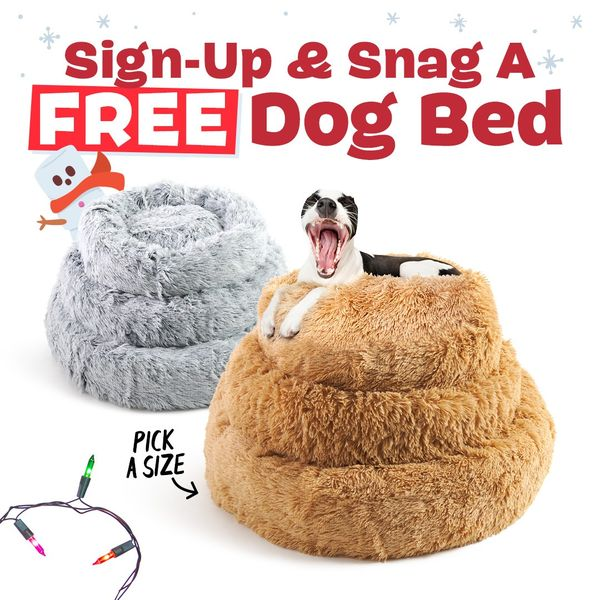 BarkBox Coupon: FREE Cuddler Dog Bed With First Box of Toys and Treats ...