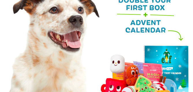 BarkBox Before Black Friday Coupon: Double Deluxe Upgrade + FREE Advent Calendar!