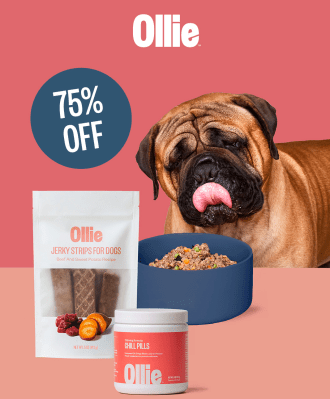 Ollie Cyber Monday Coupon: 75% Off First Box of Freshly Prepared Meals For Dogs!