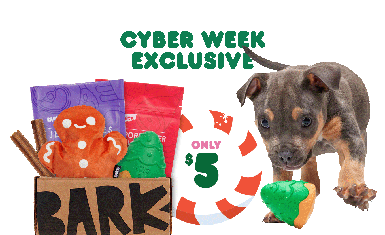 barkbox cyber monday