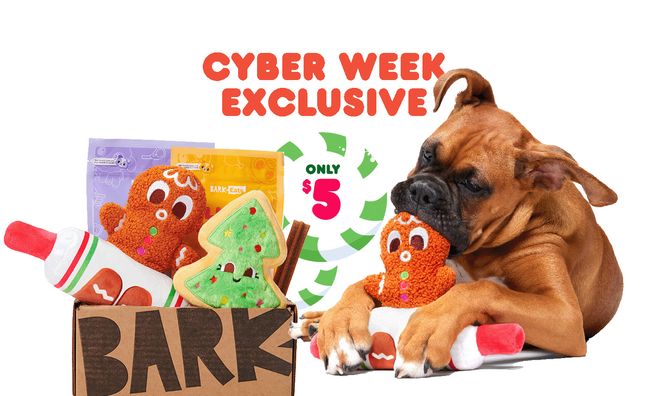 barkbox cyber monday