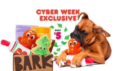Barkbox Cyber Monday Sale: $5 Box of Toys & Treats For Dogs!