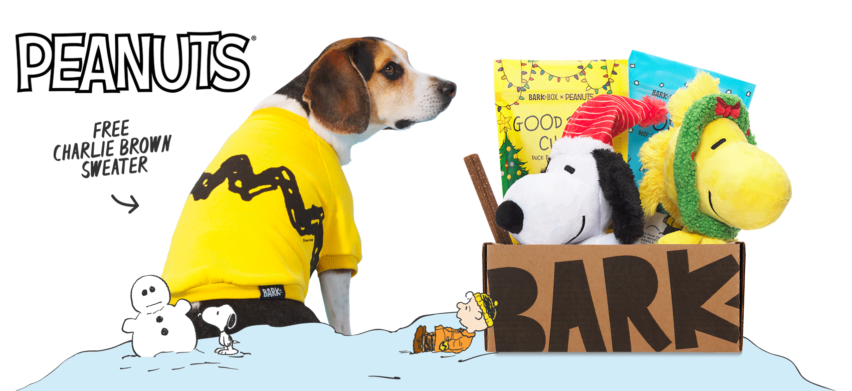 charlie brown sweater for dogs