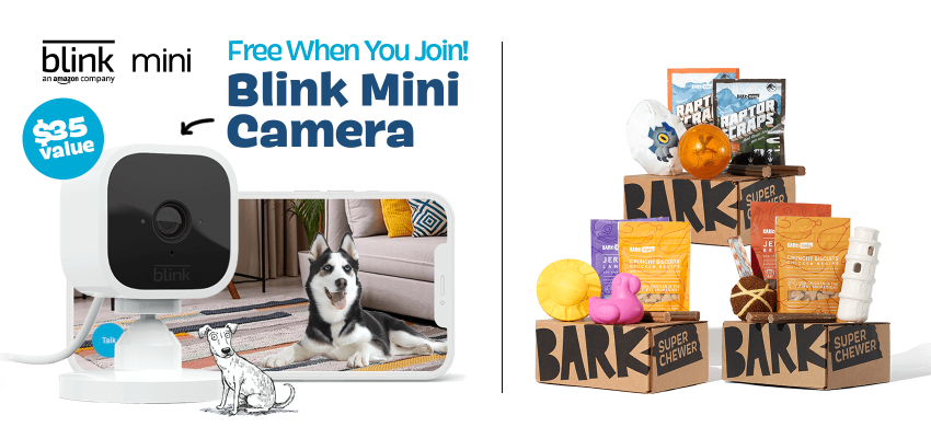 bark box mini camera