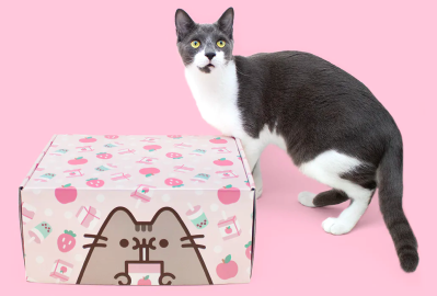 Cat Kit by Pusheen Box Spring 2023 Spoilers: Sips!