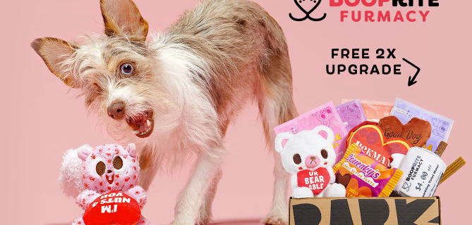 BarkBox & Super Chewer Coupon: Double Your First Box for FREE + BoopRite Furmacy Box!