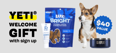 Bark Bright Coupon: FREE Yeti Dog Bowl With First Dog Dental Kit!
