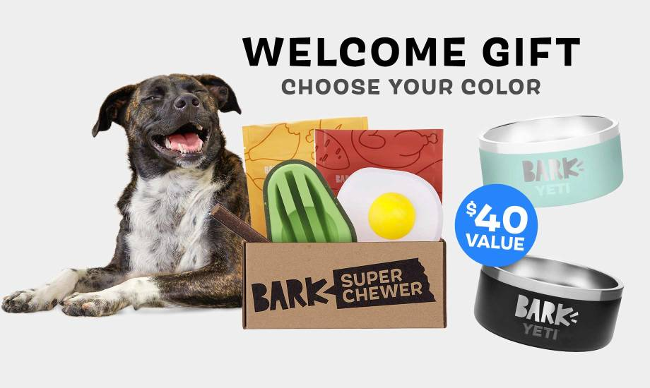 Barkbox Super Chewer: Free YETI® Bowls are Back