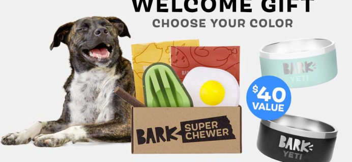 BarkBox Super Chewer Coupon: FREE Yeti Bowl!