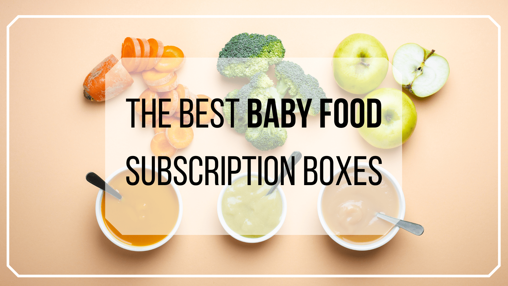 Little Spoon Review 2024 : Baby Food Meal Delivery