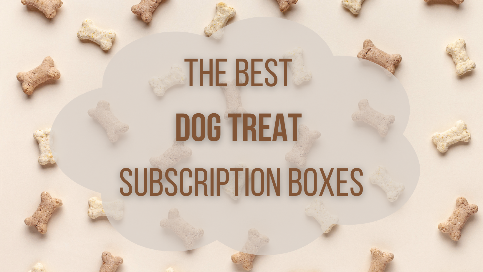 Spoil Your Pups With The Best Dog Treat Subscriptions in 2024 Hello