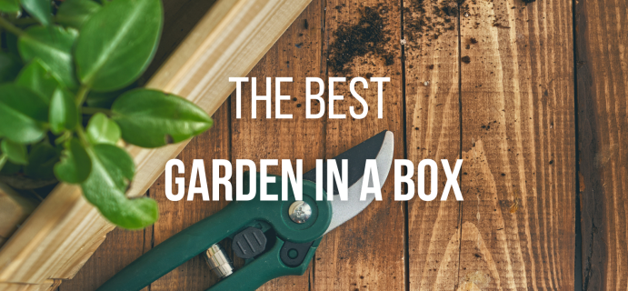 The 14 Best Garden in a Box for 2024 – Indoor Gardening Kits, Garden Towers, & More!