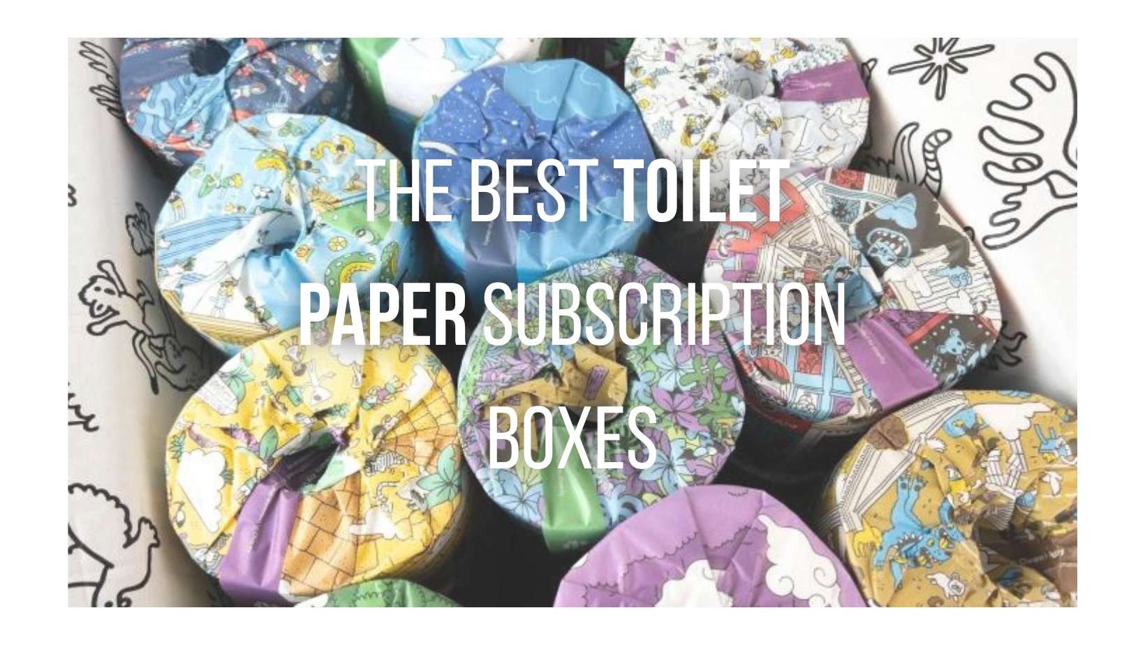 The 7 Best Toilet Paper Subscriptions In 2024 Your Tush Will Thank You   Besttoiletpaper 