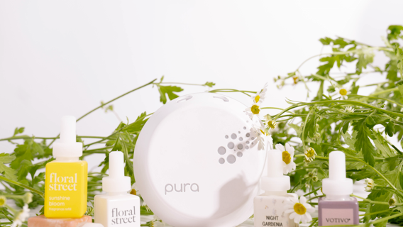 Pura National Fragrance Day Coupon: Get 20% Off SITEWIDE – Including Pura Smart Device and Luxury Home Fragrances!