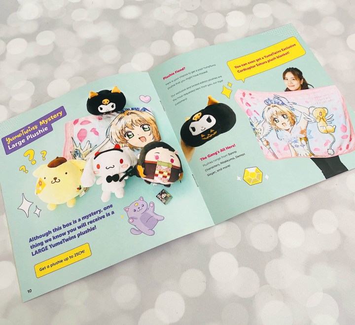 Spring 2022 Sanrio Store Japan Must Haves - YumeTwins: The Monthly Kawaii  Subscription Box Straight from Tokyo to Your Door!