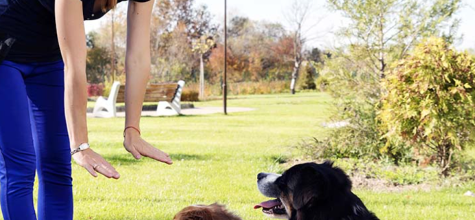 Dog Academy Coupon: Get 1 Week FREE Trial of Dog Training & Vet Support!