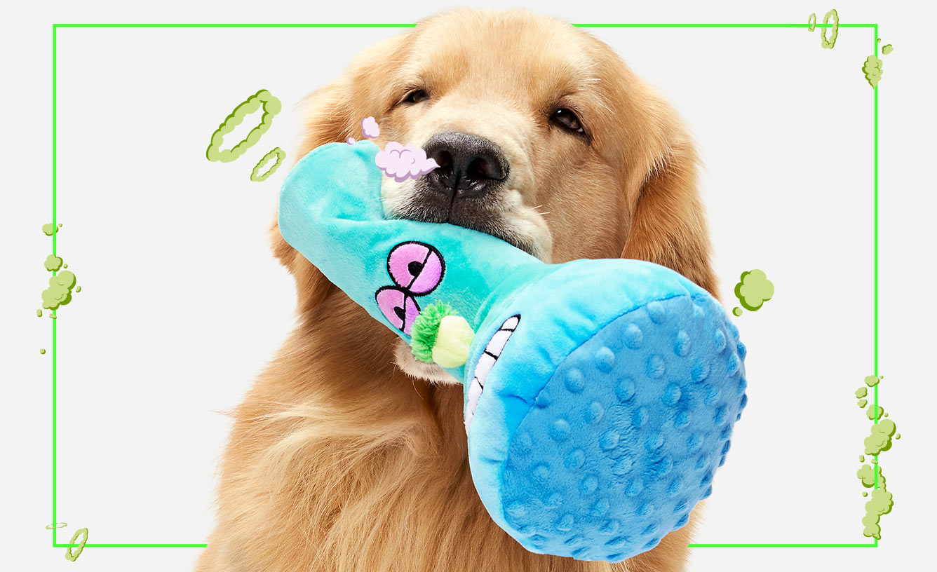 BarkBox & Super Chewer Coupon: Double Your First Box for FREE +