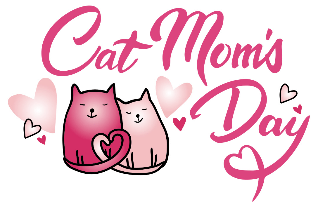 Cat Lady Box May 2023 Spoilers! Hello Subscription