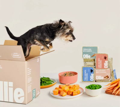 Fresh All-Natural Dog Food Subscription With Ollie + 60% Off Starter Box Coupon!