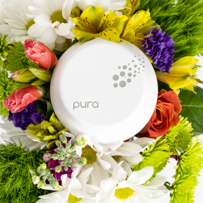 Pura Coupon: 15% Off Smart Home Fragrance!