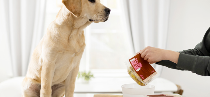 Nom Nom Coupon: 50% Off First Box Fresh Dog Food!