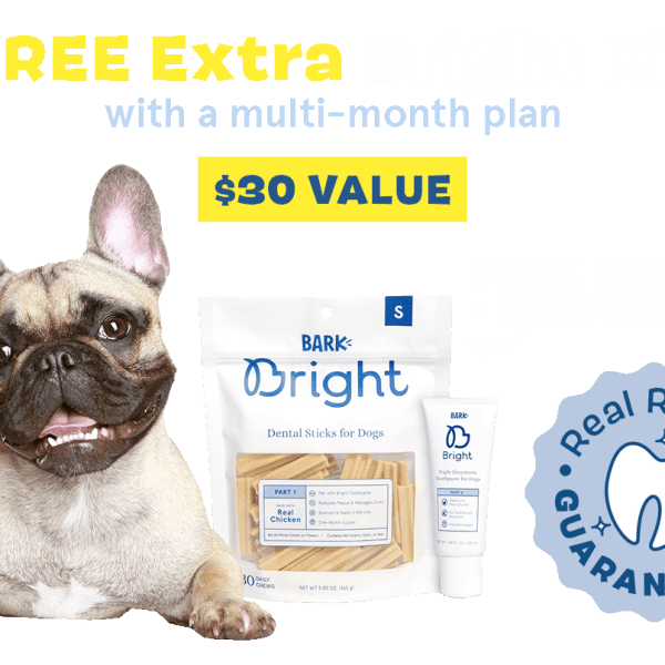 Barkbox April 2015 Review + Coupon Dog Subscription Box Hello