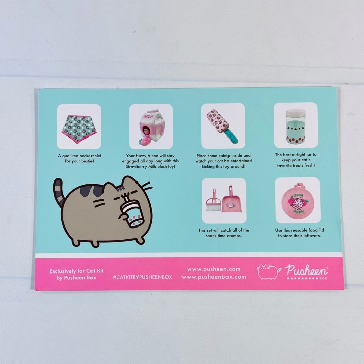  Cat Kit by Pusheen Box - Officially Licensed Pusheen Subscription  Box made for your Pet Cat : Productos para Animales