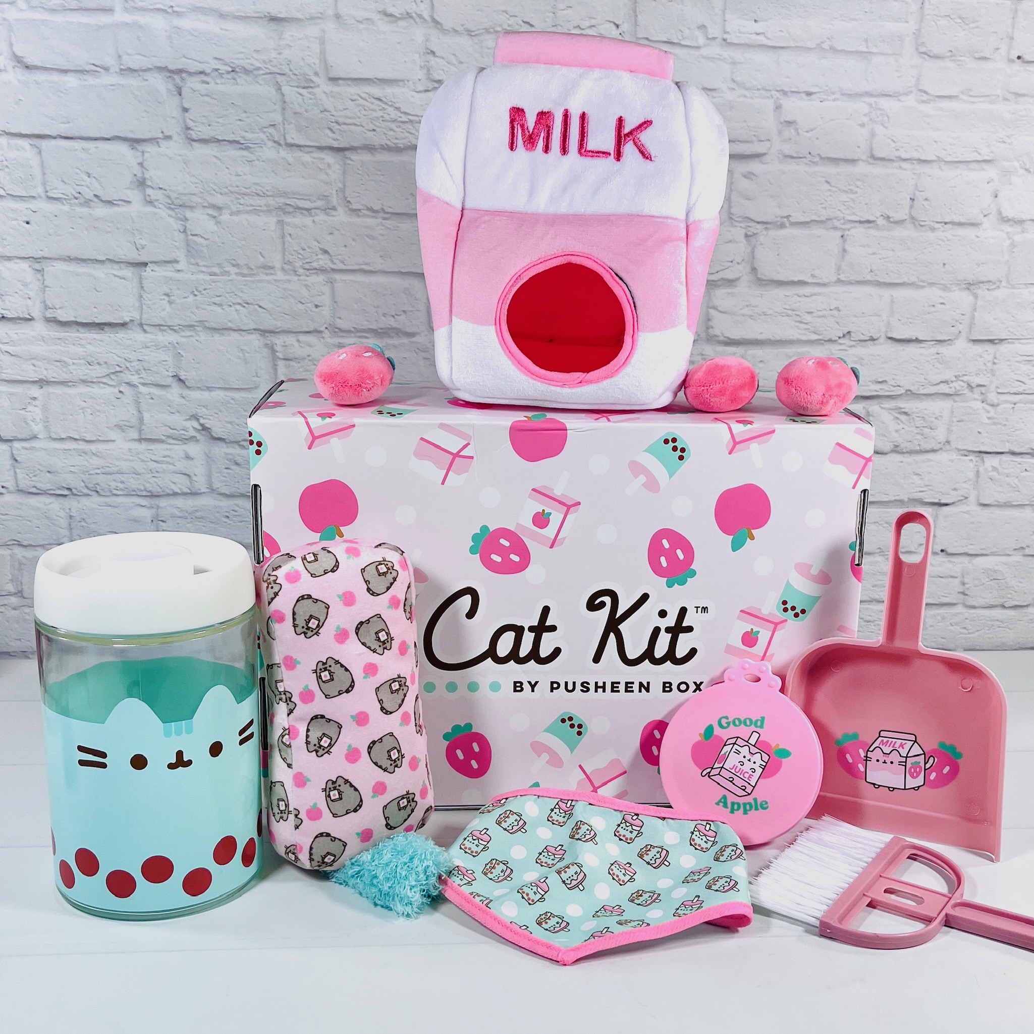 Cat Kit By Pusheen Box Reviews - Hello Subscription