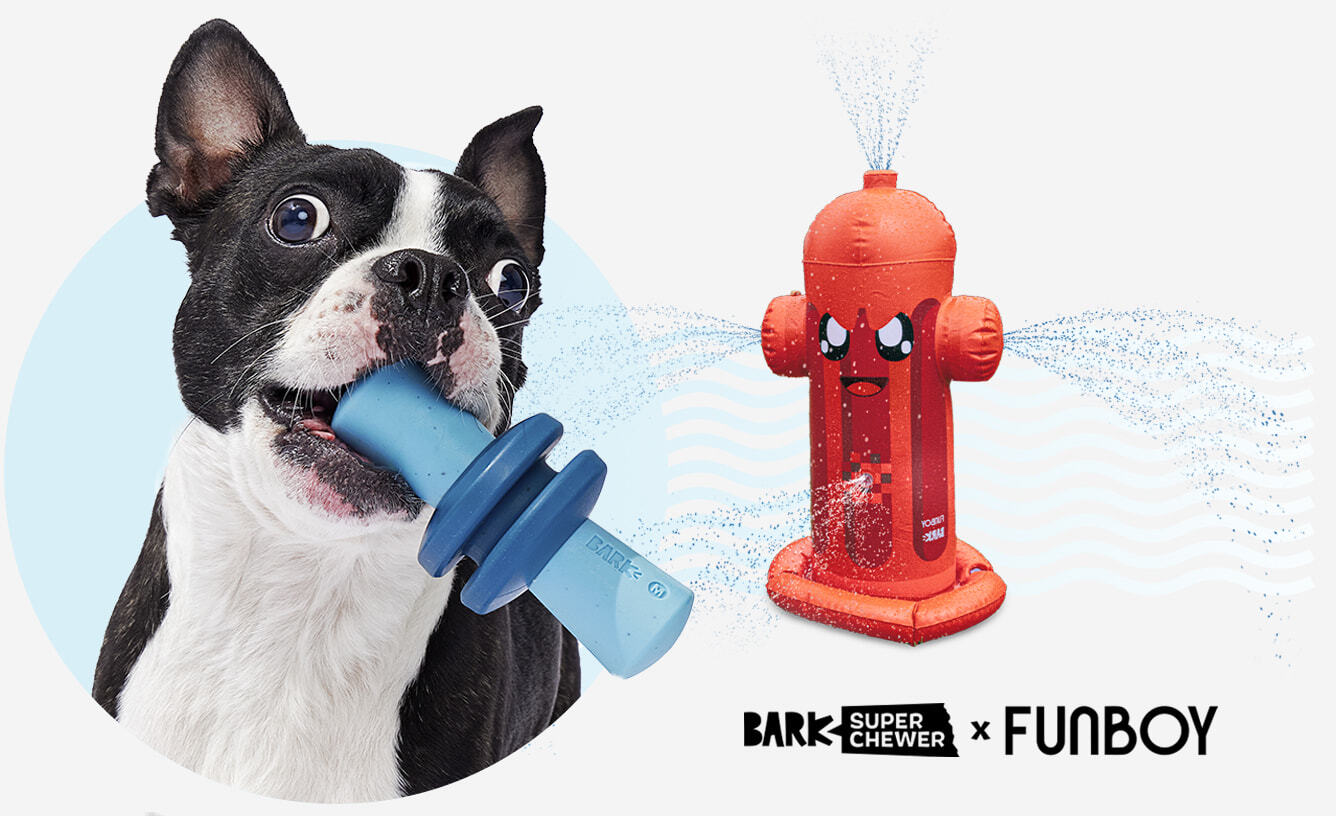 Splash Pad Sprinkler for Kids & Dogs - FUNBOY