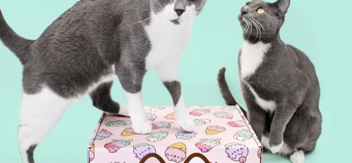 Cat Kit by Pusheen Box Summer 2023 Spoilers: Ice Cream!