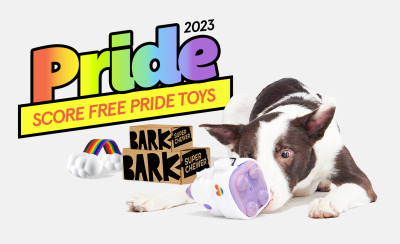 Super Chewer Deal: FREE Pride Bundle With First Box of Tough Toys for Dogs!