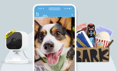 BarkBox & Super Chewer Deal: FREE Amazon Blink Mini Camera With First Box of Toys and Treats for Dogs!
